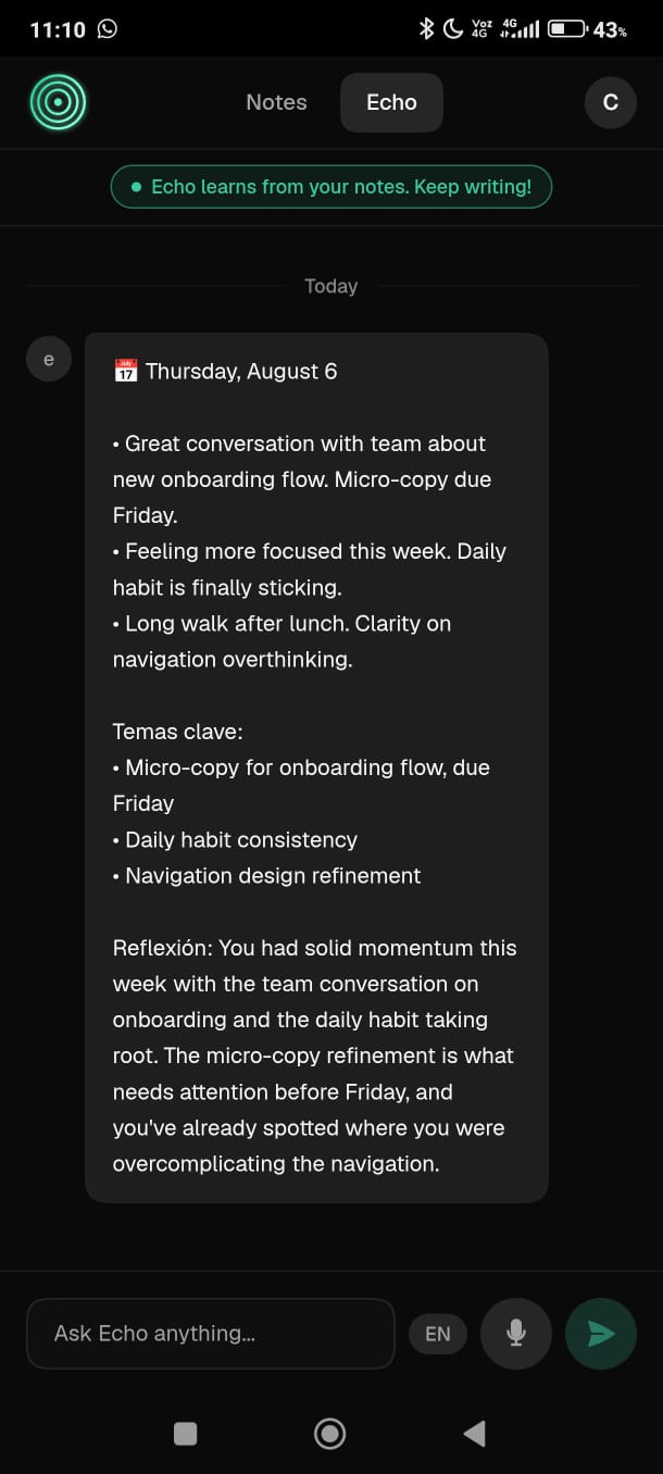 Echo, AI-generated daily summary