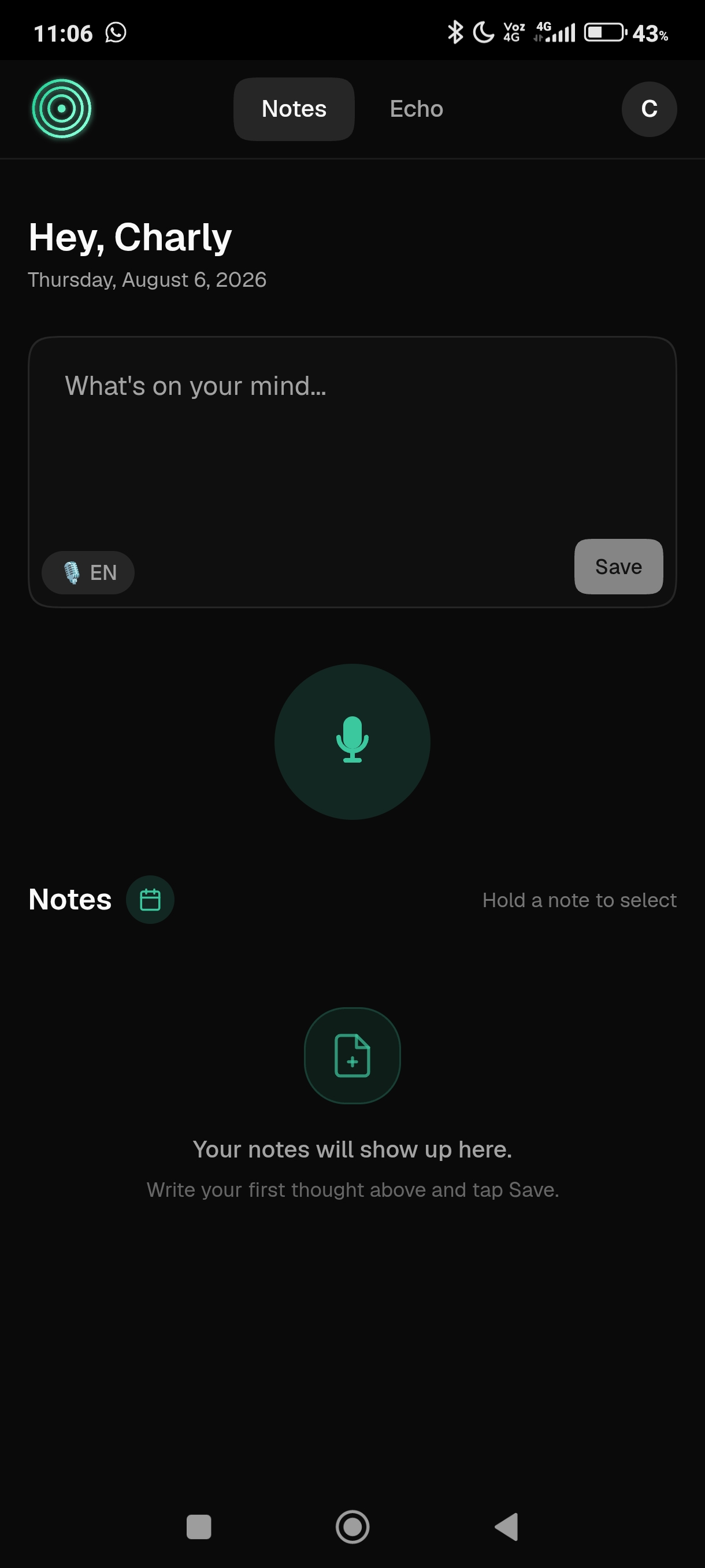 Home, empty state with voice input