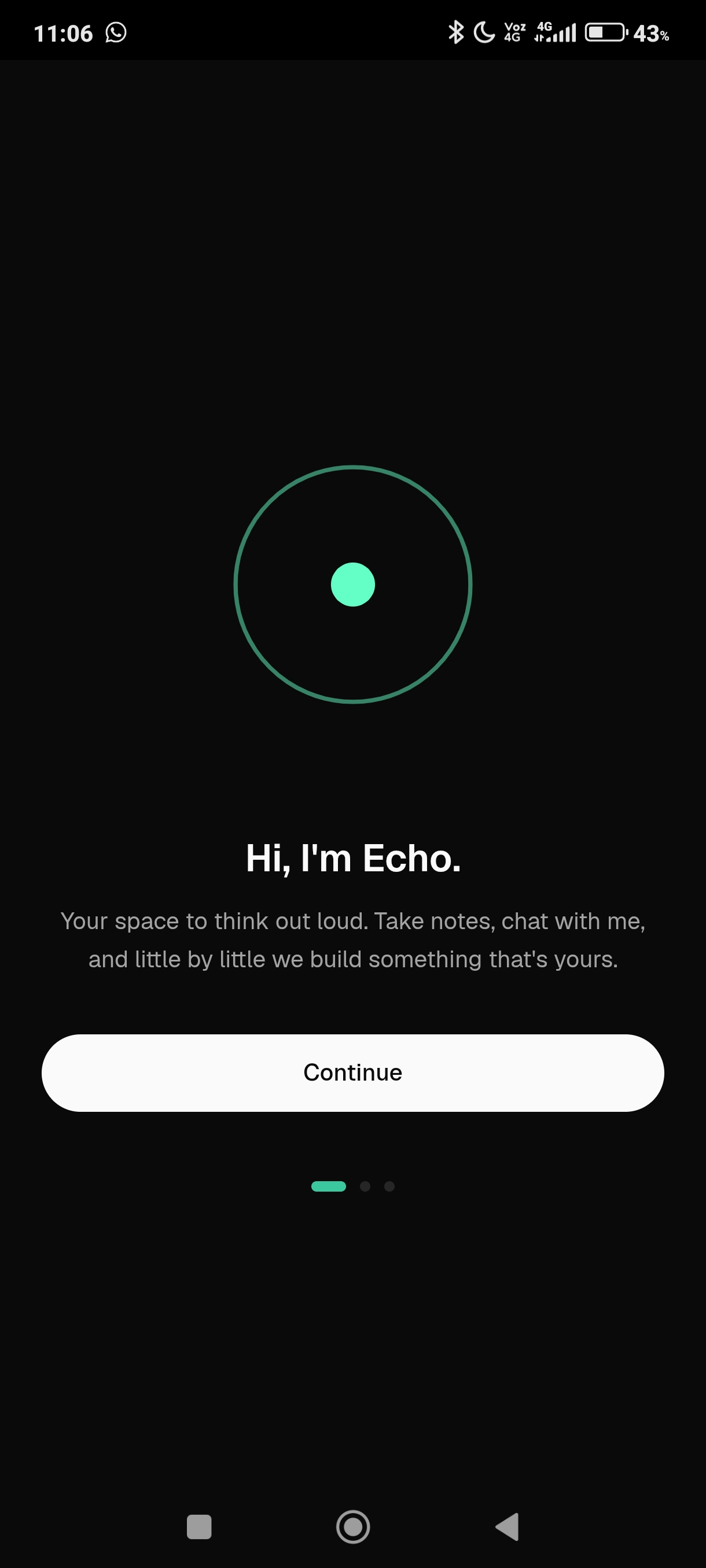 Hi, I'm Echo, welcome screen